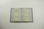 Бакалавр 2004-2009