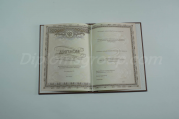 Диплом (Интернатура)